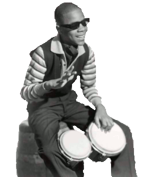 Little Stevie Little Stevie